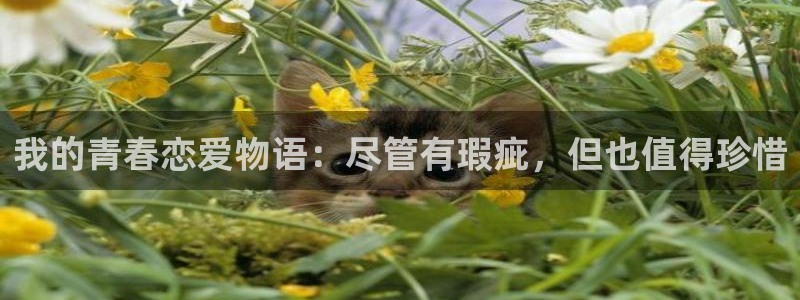 羞羞漫画免费漫画在线阅读全文