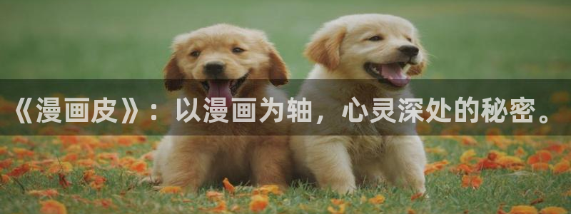 羞羞漫画免费观看免费阅读